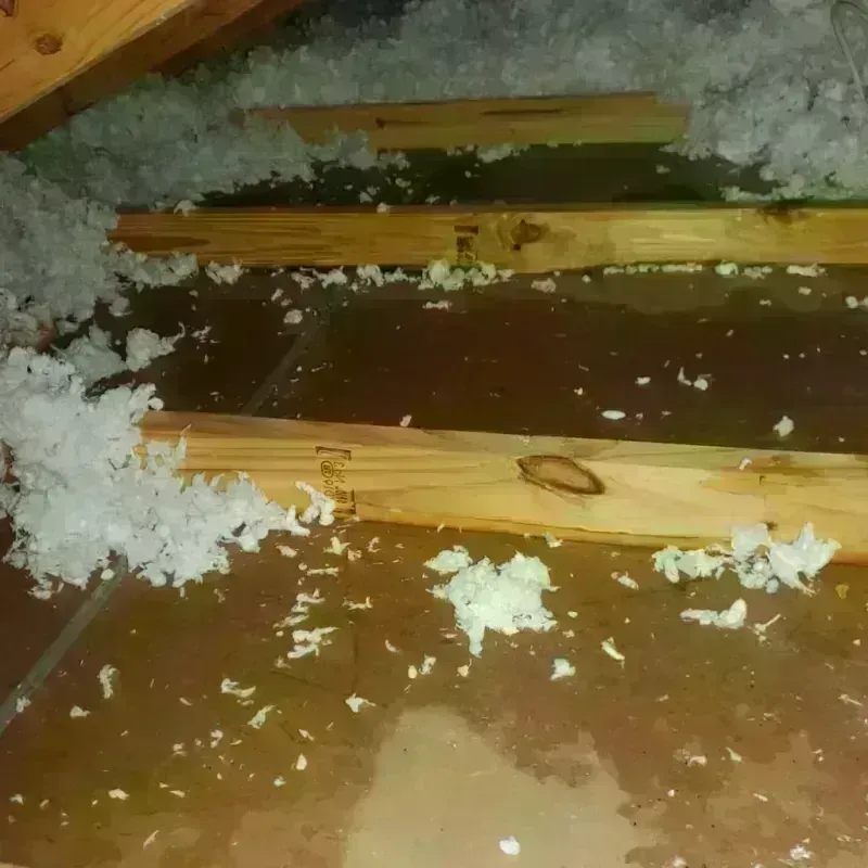 Attic Water Damage in Harlan County, NE