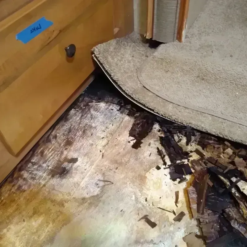 Wood Floor Water Damage in Harlan County, NE